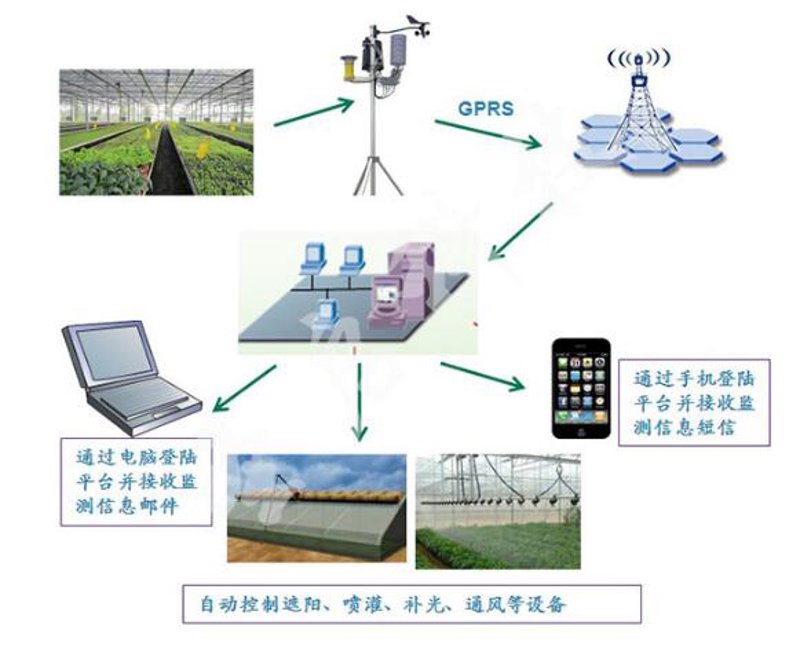 走进无线传感器的世界：物联网时代的隐形英雄